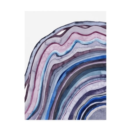 Grace Popp 'Amethyst Agate I' Canvas Art,35x47